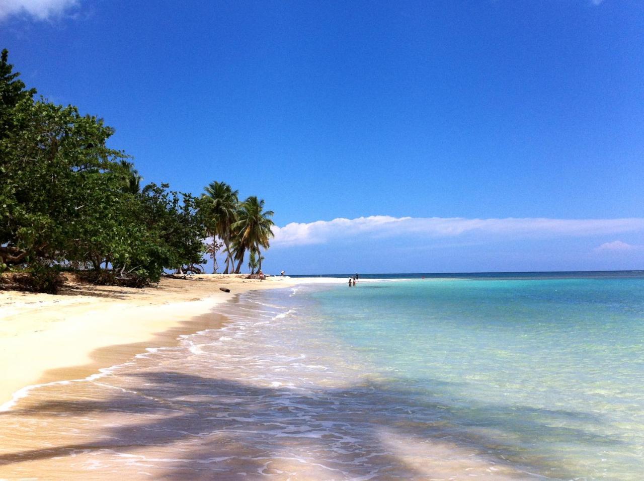 Caribbean Seaview Apart Malecon Santo Domingo Ngoại thất bức ảnh